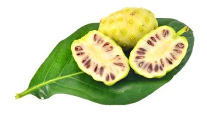 Откуда родом Нони?