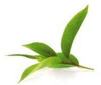 Способ Применения: