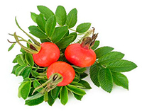 Состав - 1 капсула: