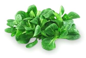 Успокаивающие свойства валерианы