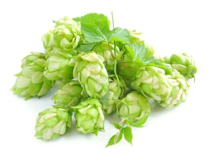 Кора белой ивы - для нервной системы