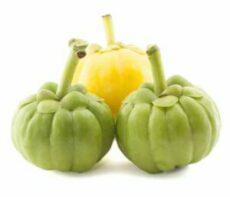 Комплекс с Гарцинией