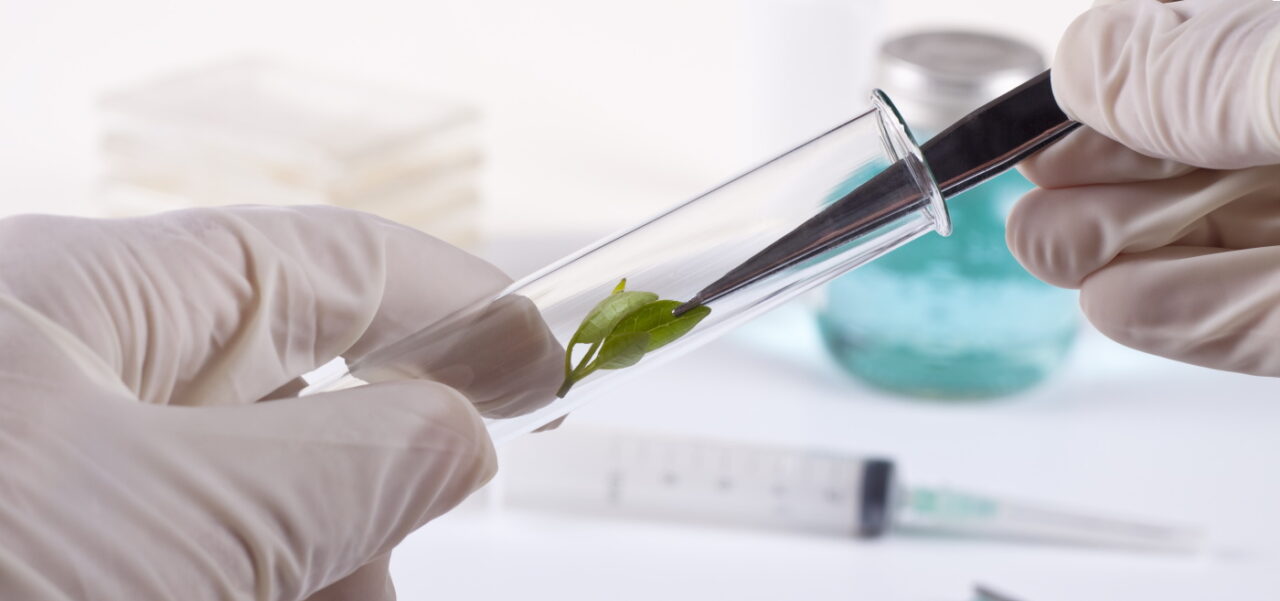 Вспомогательные и не только вещества в продукции компании NSP - 9