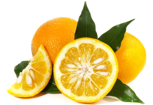 Hista Block (Гиста Блок) - 17